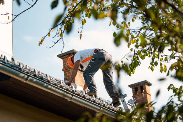 Best Storm Damage Roof Repair  in Rm Beach, WA