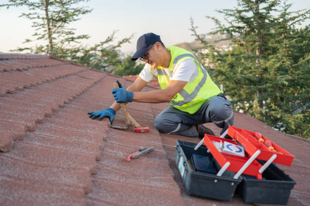 Best Gutter Installation and Roofing  in Rm Beach, WA